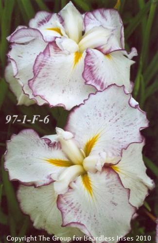 97-1-F-6
