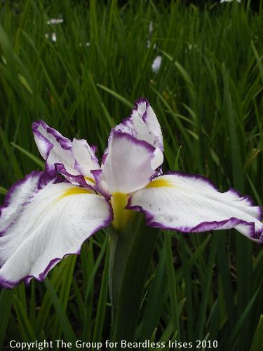 DSCF2193